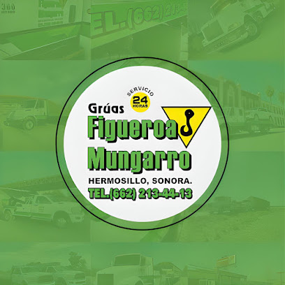 Grúas Figueroa Mungarro S.A. de C.V.