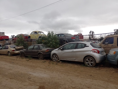 Gru Mex (Hidalgo)