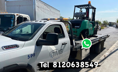 Gruas tmg