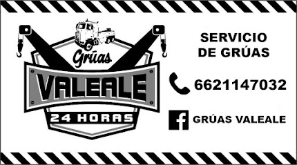 Gruas ValeAle